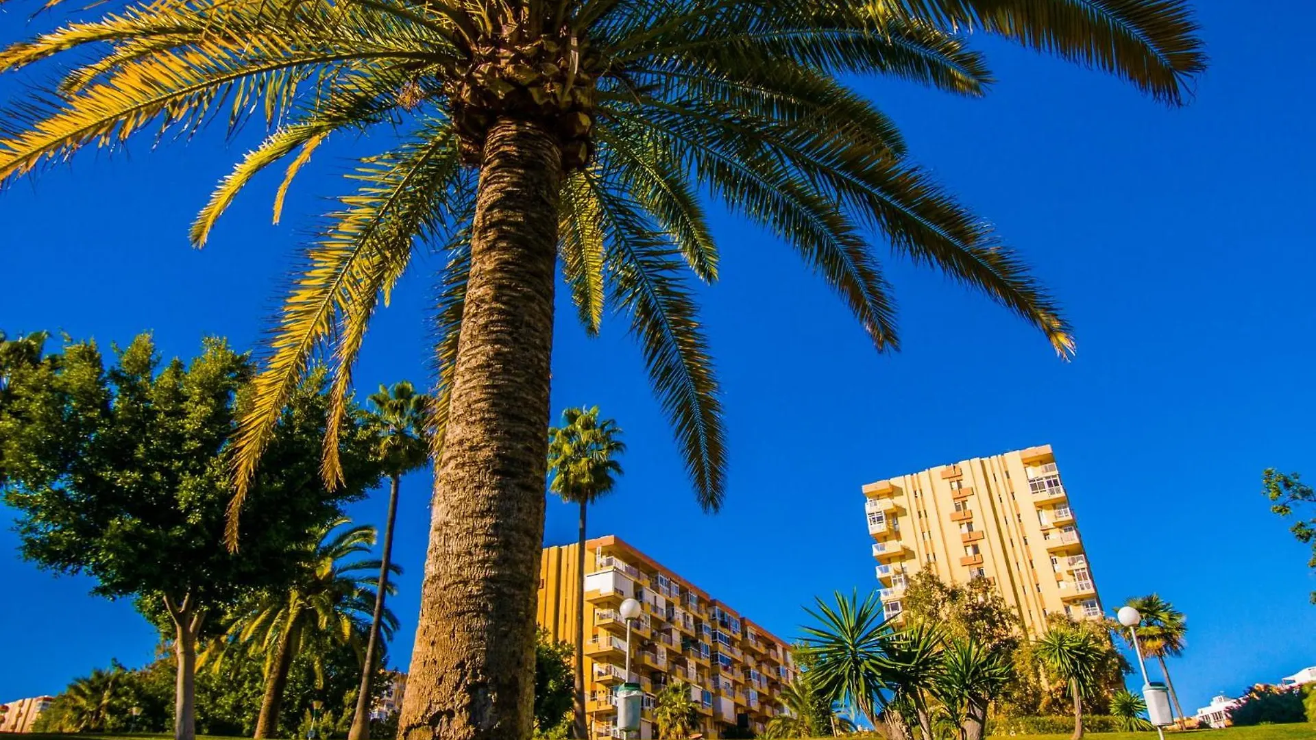 102 Estudio En Jupiter Apartmentos - Piscina Y Playa - Excelente Ubicacion Benalmádena Apartament